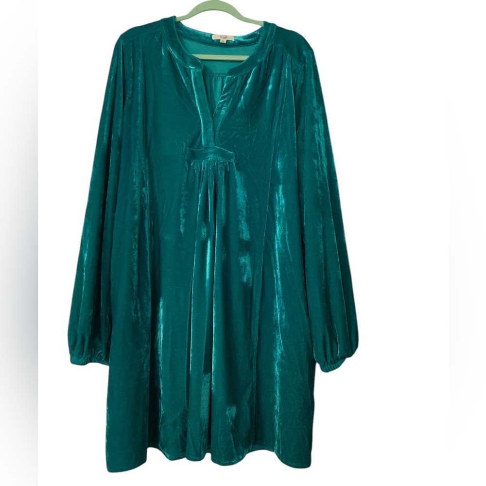 NWOT Easel velvet dress Large